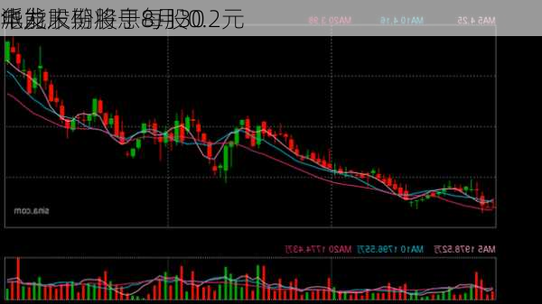 华能
电力股份将于8月30
派发末期股息每股0.2元