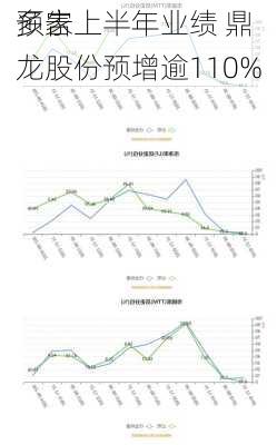 多家
预告上半年业绩 鼎龙股份预增逾110%