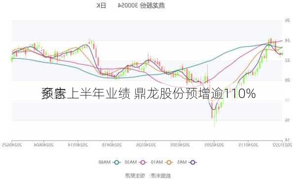 多家
预告上半年业绩 鼎龙股份预增逾110%