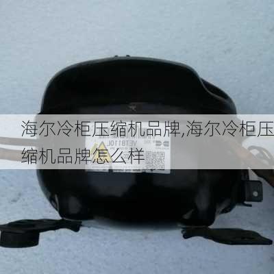 海尔冷柜压缩机品牌,海尔冷柜压缩机品牌怎么样