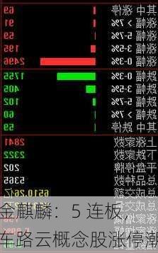 金麒麟：5 连板，车路云概念股涨停潮