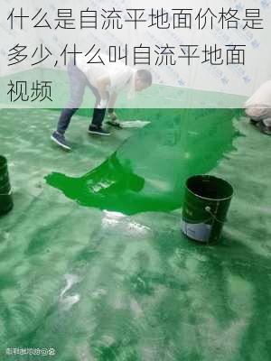 什么是自流平地面价格是多少,什么叫自流平地面视频