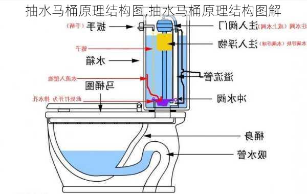 抽水马桶原理结构图,抽水马桶原理结构图解