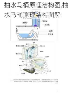 抽水马桶原理结构图,抽水马桶原理结构图解