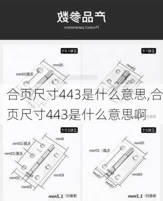 合页尺寸443是什么意思,合页尺寸443是什么意思啊