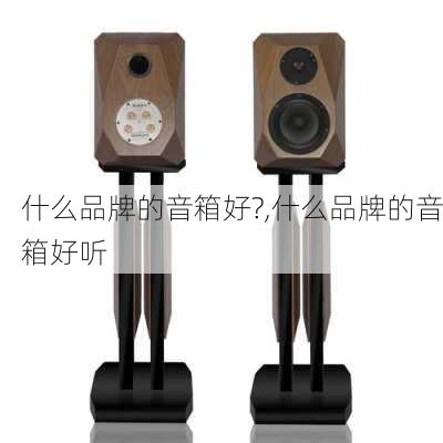 什么品牌的音箱好?,什么品牌的音箱好听