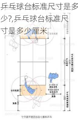 乒乓球台标准尺寸是多少?,乒乓球台标准尺寸是多少厘米