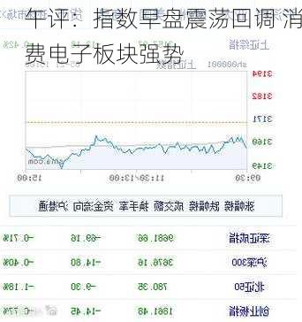 午评：指数早盘震荡回调 消费电子板块强势