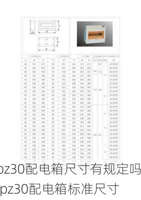 pz30配电箱尺寸有规定吗,pz30配电箱标准尺寸