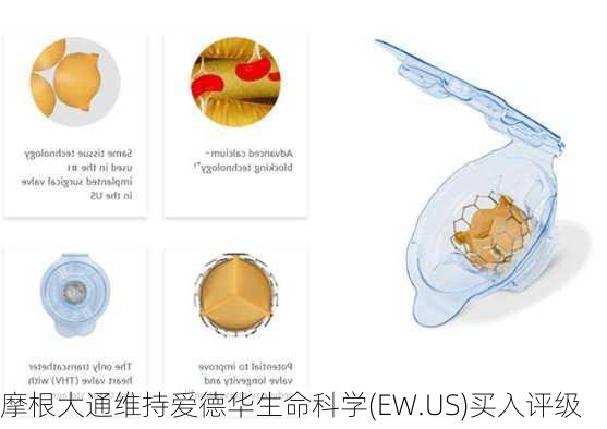 摩根大通维持爱德华生命科学(EW.US)买入评级