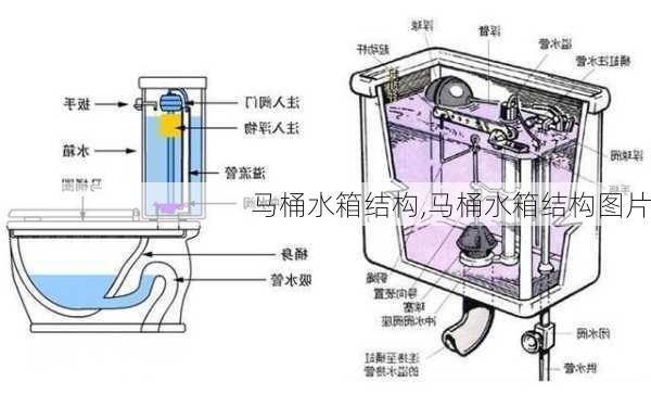 马桶水箱结构,马桶水箱结构图片