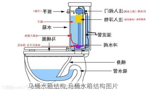 马桶水箱结构,马桶水箱结构图片