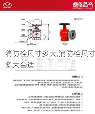 消防栓尺寸多大,消防栓尺寸多大合适