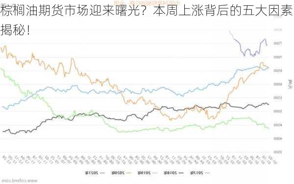 棕榈油期货市场迎来曙光？本周上涨背后的五大因素揭秘！