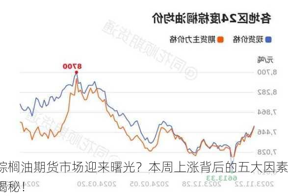 棕榈油期货市场迎来曙光？本周上涨背后的五大因素揭秘！