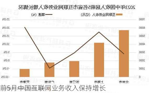 前5月中国互联网业务收入保持增长