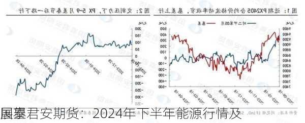 国泰君安期货：2024年下半年能源行情及
展望