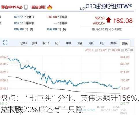 
年中盘点：“七巨头”分化，英伟达飙升156%，特斯拉大跌20%！还有一只隐
的“大牛股”