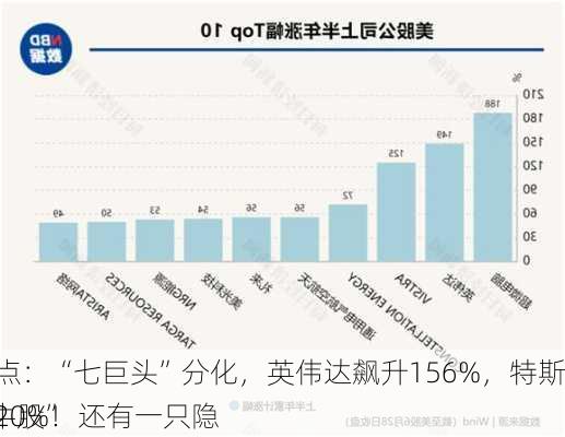 
年中盘点：“七巨头”分化，英伟达飙升156%，特斯拉大跌20%！还有一只隐
的“大牛股”