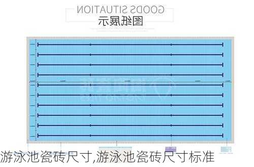 游泳池瓷砖尺寸,游泳池瓷砖尺寸标准