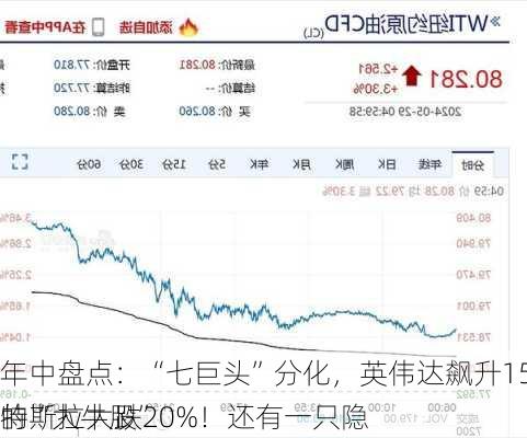 
年中盘点：“七巨头”分化，英伟达飙升156%，特斯拉大跌20%！还有一只隐
的“大牛股”