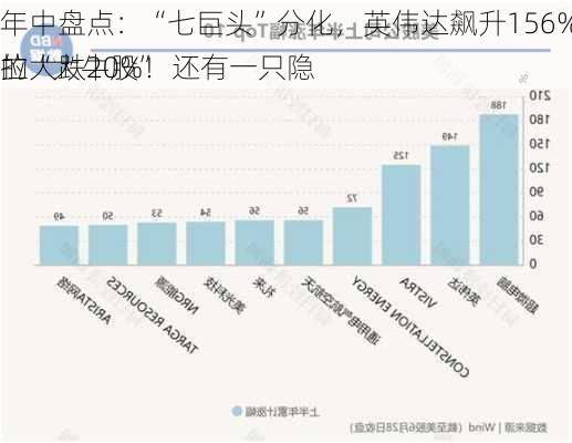 
年中盘点：“七巨头”分化，英伟达飙升156%，特斯拉大跌20%！还有一只隐
的“大牛股”