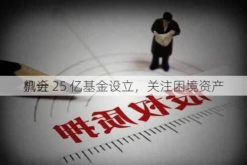 鼎一
：近 25 亿基金设立，关注困境资产
机会