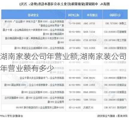 湖南家装公司年营业额,湖南家装公司年营业额有多少