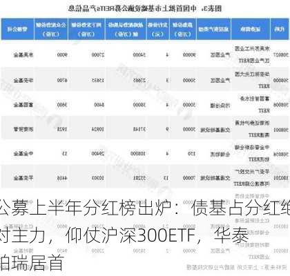 公募上半年分红榜出炉：债基占分红绝对主力，仰仗沪深300ETF，华泰柏瑞居首