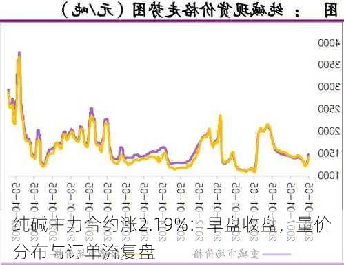 纯碱主力合约涨2.19%：早盘收盘，量价分布与订单流复盘