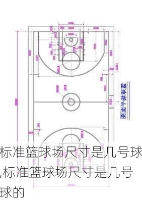 标准篮球场尺寸是几号球,标准篮球场尺寸是几号球的