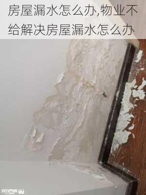 房屋漏水怎么办,物业不给解决房屋漏水怎么办