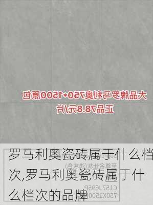 罗马利奥瓷砖属于什么档次,罗马利奥瓷砖属于什么档次的品牌