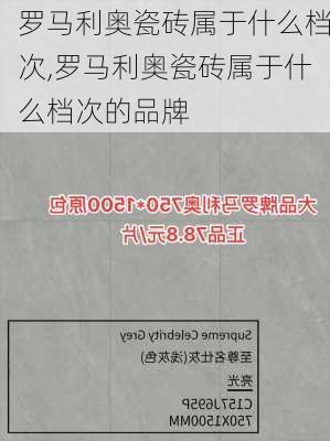 罗马利奥瓷砖属于什么档次,罗马利奥瓷砖属于什么档次的品牌