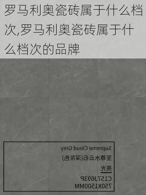 罗马利奥瓷砖属于什么档次,罗马利奥瓷砖属于什么档次的品牌