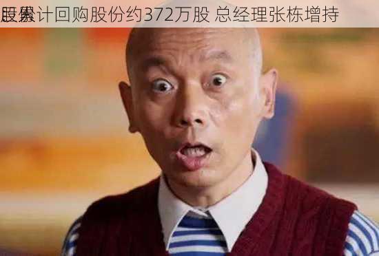 巨人
：累计回购股份约372万股 总经理张栋增持
股份