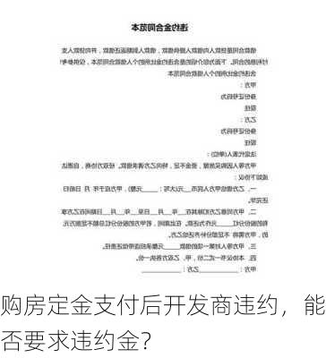 购房定金支付后开发商违约，能否要求违约金？