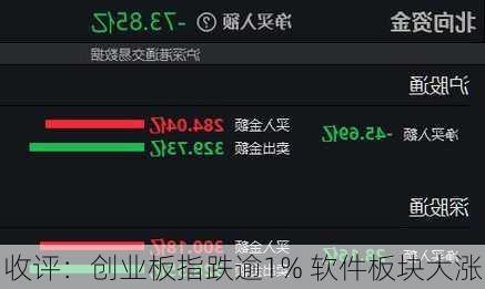 收评：创业板指跌逾1% 软件板块大涨