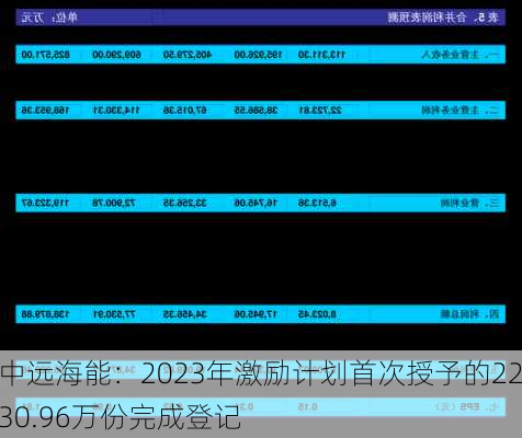 中远海能：2023年激励计划首次授予的2230.96万份完成登记