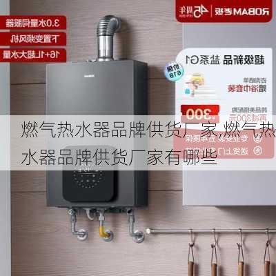 燃气热水器品牌供货厂家,燃气热水器品牌供货厂家有哪些