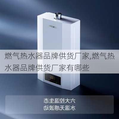 燃气热水器品牌供货厂家,燃气热水器品牌供货厂家有哪些