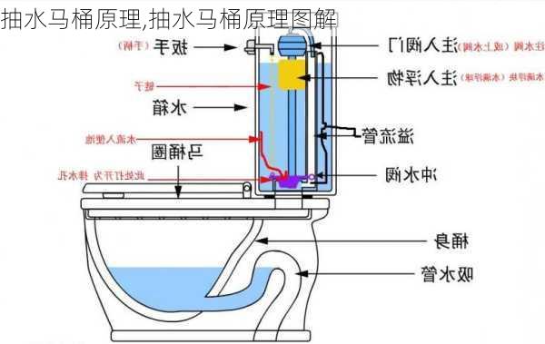 抽水马桶原理,抽水马桶原理图解