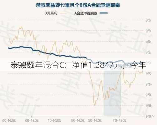 泰康颐年混合C：净值1.2847元，今年
1.90%