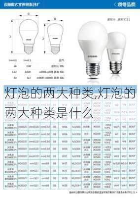 灯泡的两大种类,灯泡的两大种类是什么