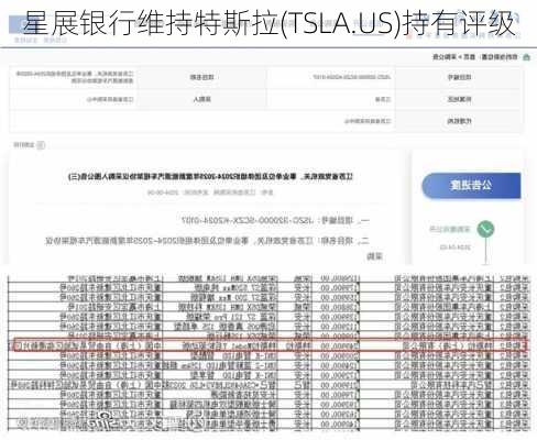 星展银行维持特斯拉(TSLA.US)持有评级