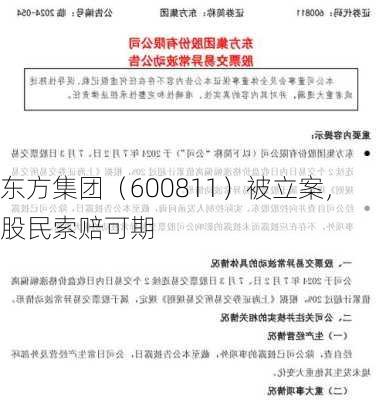 东方集团（600811）被立案，股民索赔可期