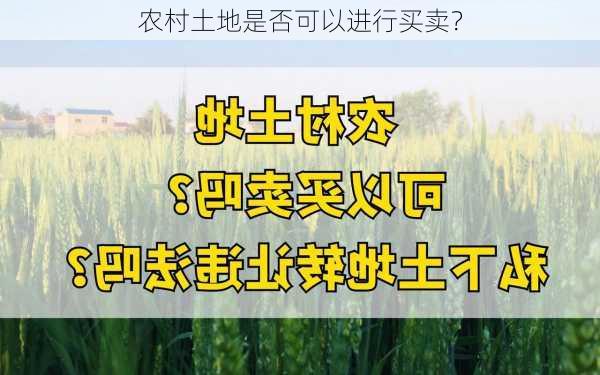 农村土地是否可以进行买卖？