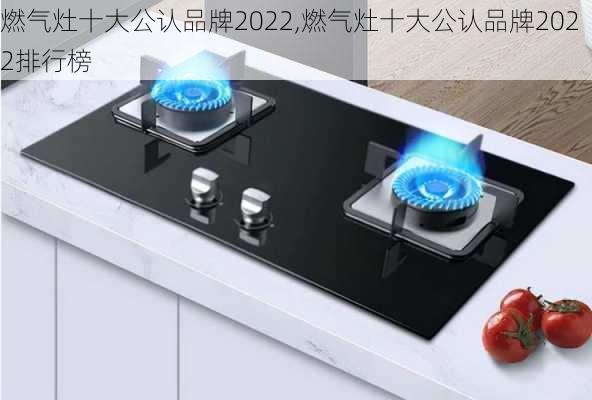 燃气灶十大公认品牌2022,燃气灶十大公认品牌2022排行榜