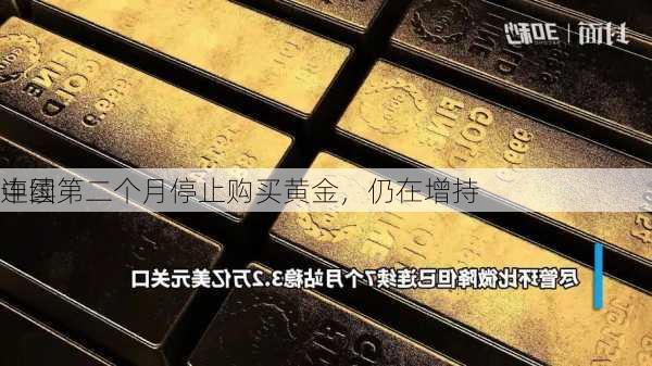 中国
连续第二个月停止购买黄金，仍在增持