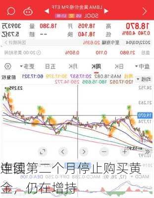 中国
连续第二个月停止购买黄金，仍在增持